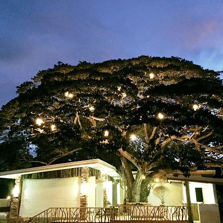 Serviced Apartments By Eco Hotel Bohol Panglao Extérieur photo