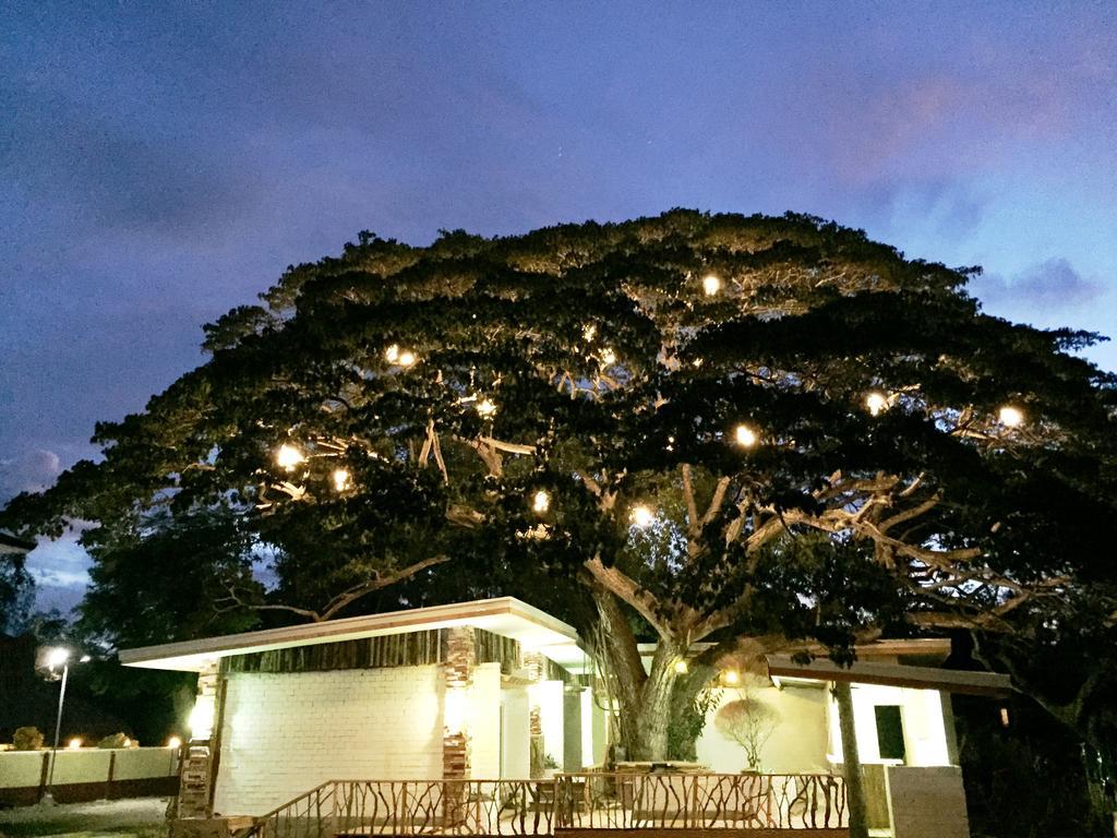 Serviced Apartments By Eco Hotel Bohol Panglao Extérieur photo